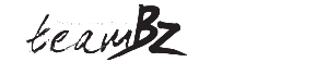 TeamBz Logo