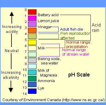 Image of PH Scale